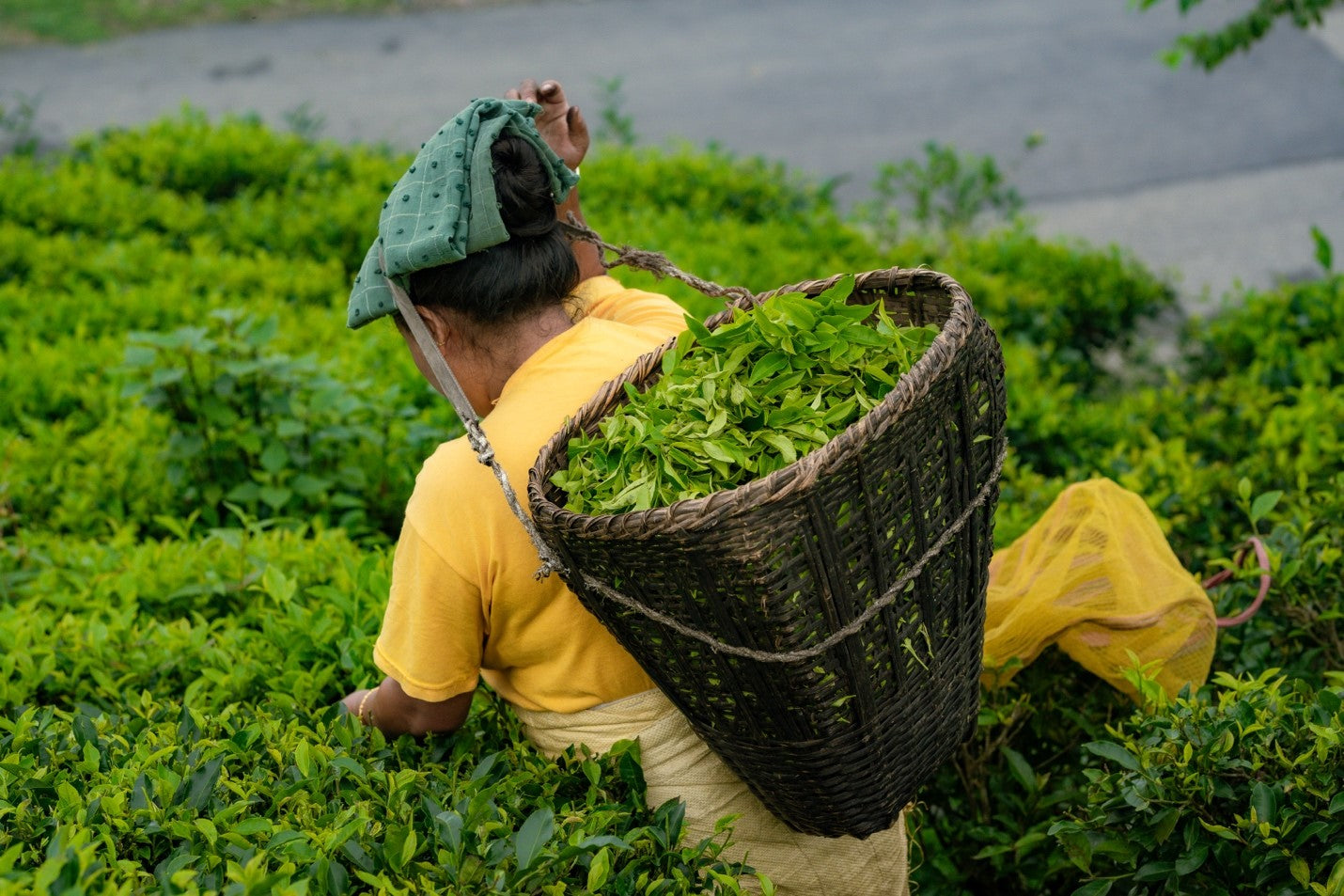 The Enchantment of Nepali Tea