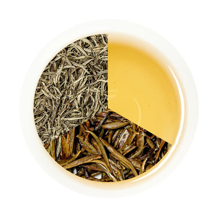 Sip Your Way to Health: Benefits of Silver Needle White Tea by Himalko Tea.
