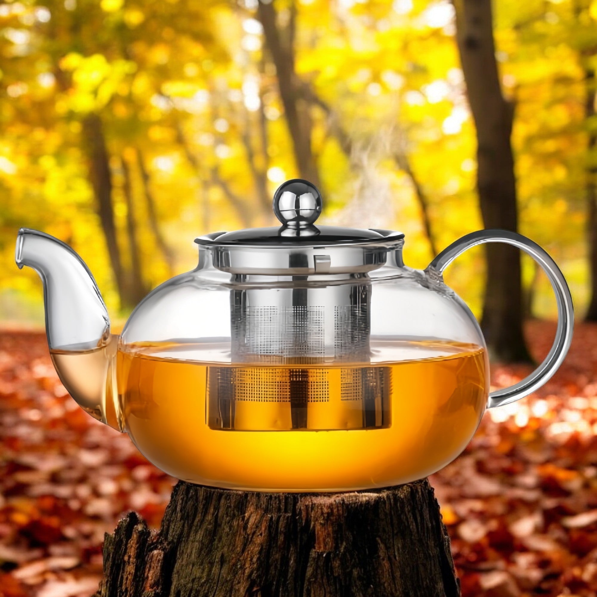 Glass Teapot 5