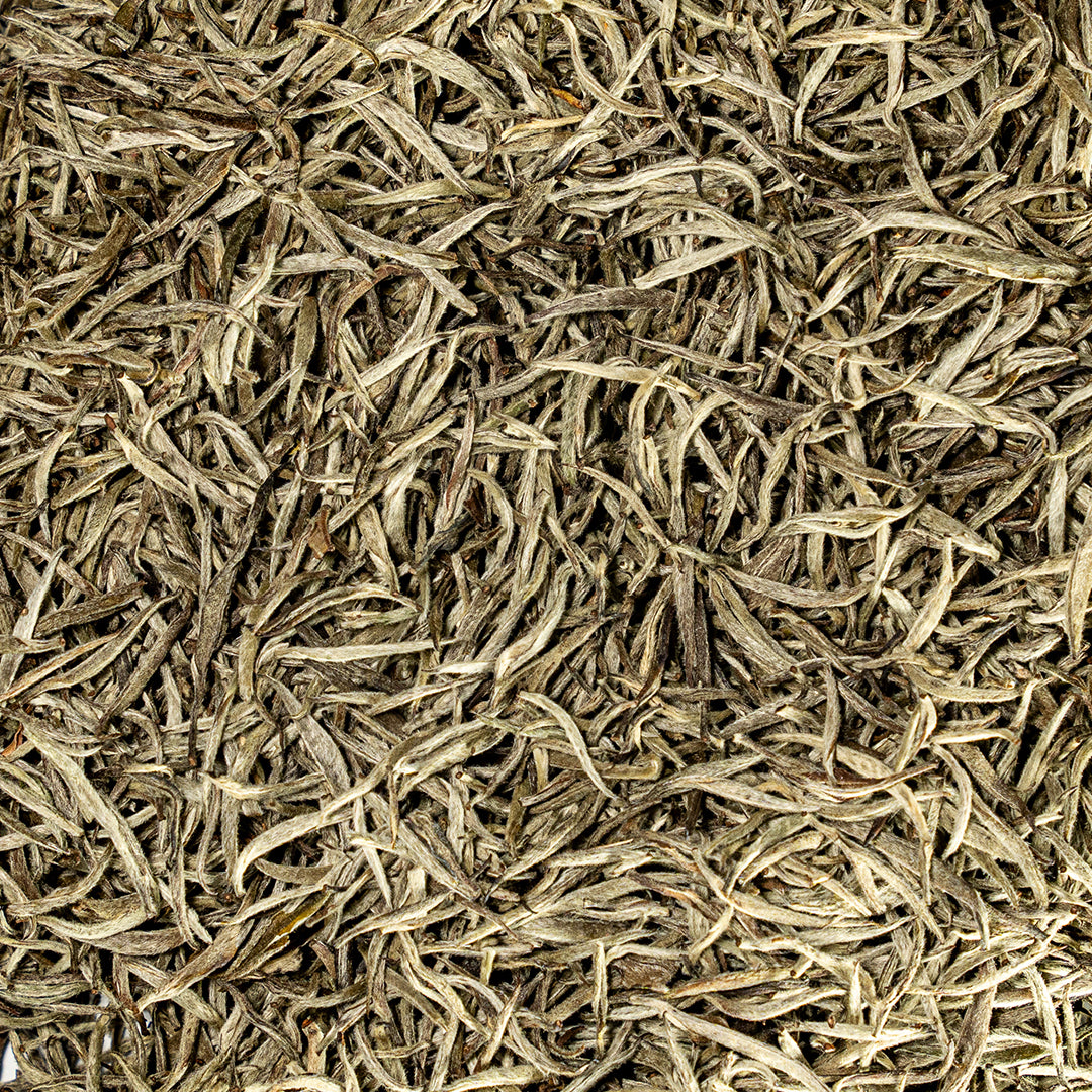 White Tea 