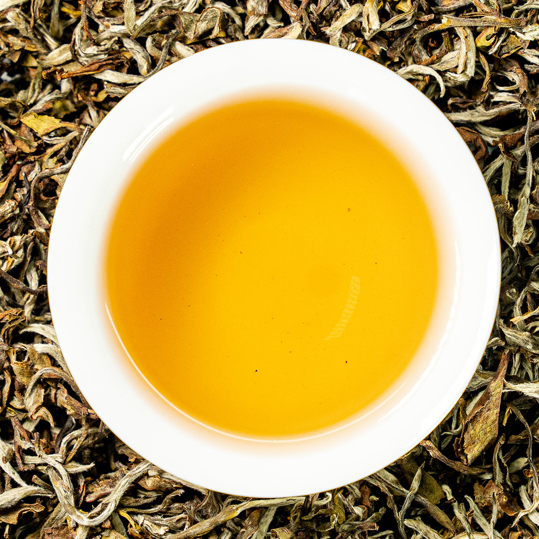 White Spring Tea