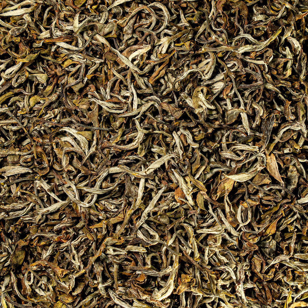 White Spring Tea