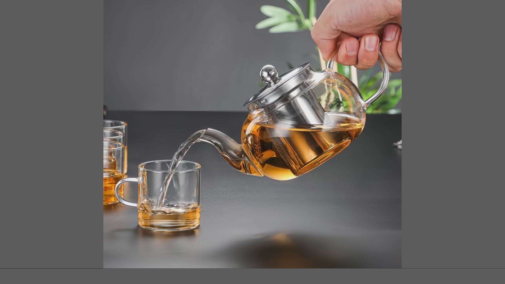 Tea Cattle